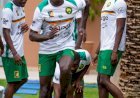 Lions Indomptables : Boris Mfoumou , Fait ses Premiers Pas Dans la Tanière!