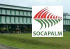 LA SOCAPALM ANNONCE LE VERSEMENT DE 1,7 MILLIARD DE FCFA DE DIVIDENDES AUX ACTIONNAIRES POUR L'EXERCICE 2024!