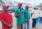 Football : les anciens Lions Indomptables transmettent les clés de la réussite à Douala !