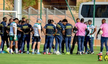 Lions Indomptables : Echos de la Tanière!