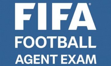 Football : Devenir agent FIFA, ce qu'il faut savoir!