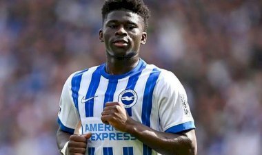 Lions Indomptables : Carlos Baleba en taille patron à Brighton !
