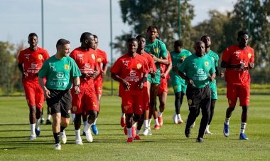 Football : Paolo Duarte lance son chantier avec le Syli National au Maroc !