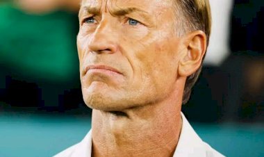 Côte d'Ivoire : Hervé Renard de retour sur le banc des Éléphants !