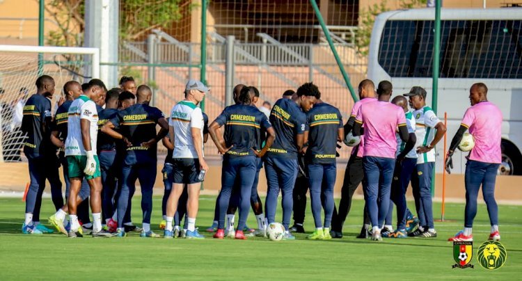 Lions Indomptables : Echos de la Tanière!