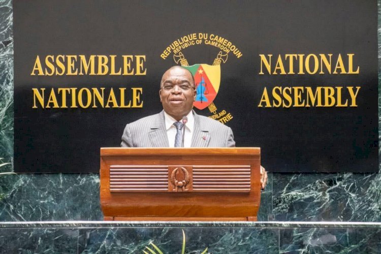 Finance : Le gouvernement camerounais adopte le projet de loi de réglement 2024!