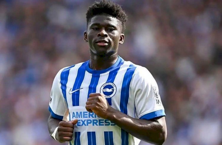 Lions Indomptables : Carlos Baleba en taille patron à Brighton !