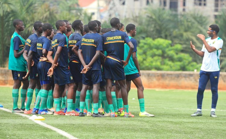 UNIFFAC U17 RDC 2026 : Échos de la tanière !